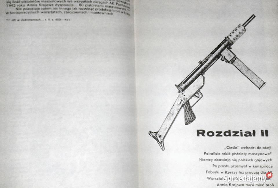 Steny biją celnie Stanisław Maria Jankowski Pozostałe Chełm sprzedam