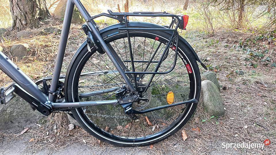 Alu Rower Miejski Męski Gudereit Evo LC 75 3x10