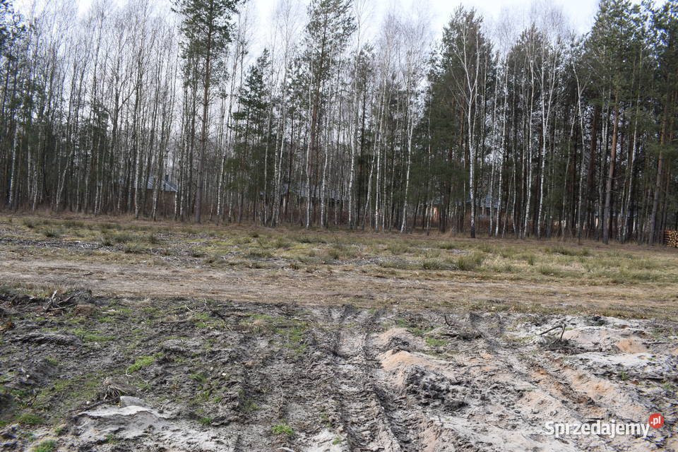 Działki 10a w otoczeniu lasu Widełka Głogów Małopolski