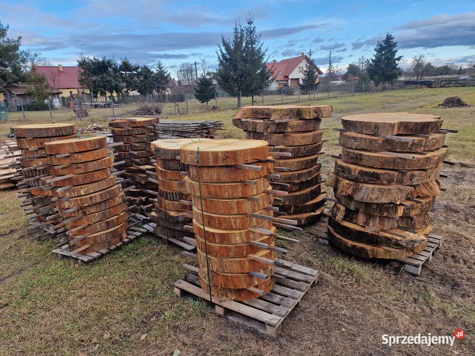Plastry dębowe pakiet 72sztuk Zieleniec