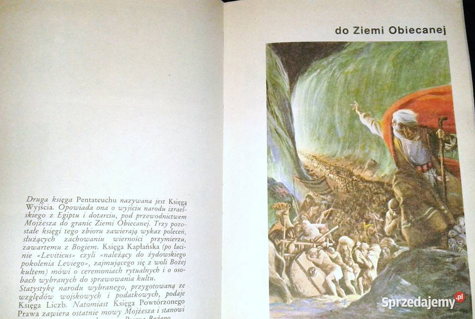 Biblia święta Historia wciąż żywa Attilio Monge Chełm