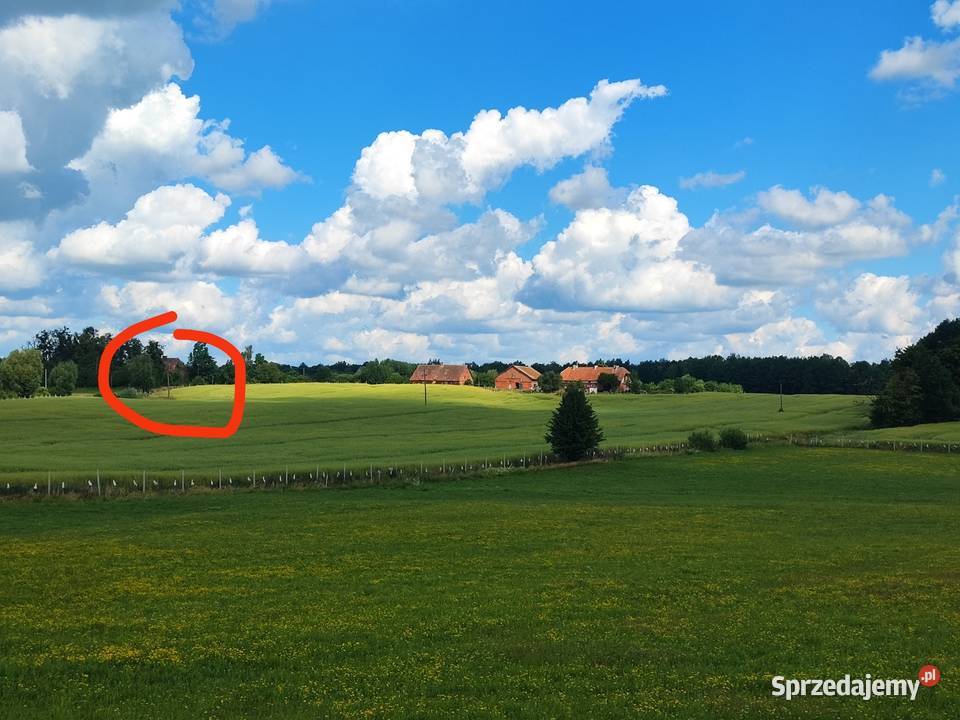 Siedlisko RADZIEJE mieszkanie 67 m2 działka 29zł/m2 sprzedam