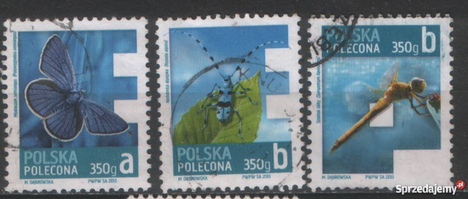 Zn Fi 4477 8 80 kas 2013 Gliwice