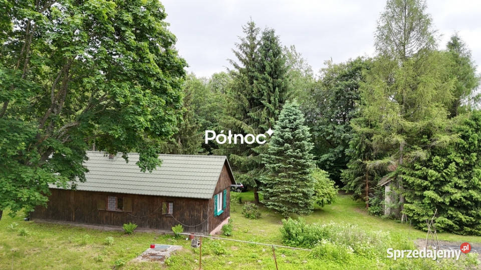 piękne ranczo z łąką i lasem pod HoryńcemZdrojem polna Dziewięcierz sprzedam