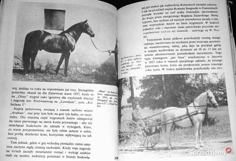 Konie rubinowe Ireneusz J Kamiński Pozostałe Chełm