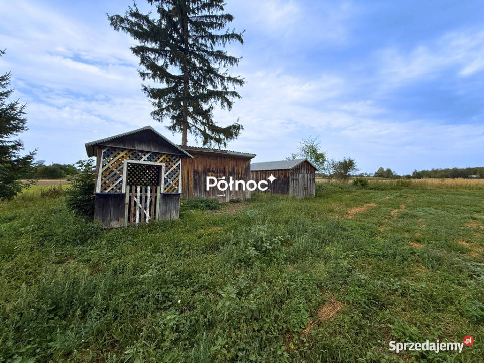 Siedlisko 11 ha w Kozłach 10967m2 Kozły