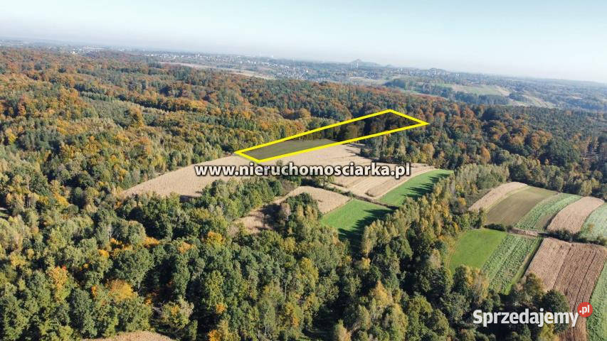 Grunt 15327m2 Syrynia 40m