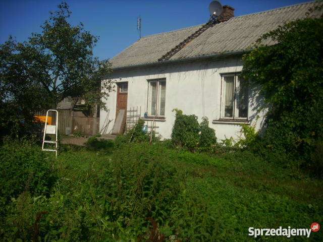 Siedlisko z domem 1 ha ziemi