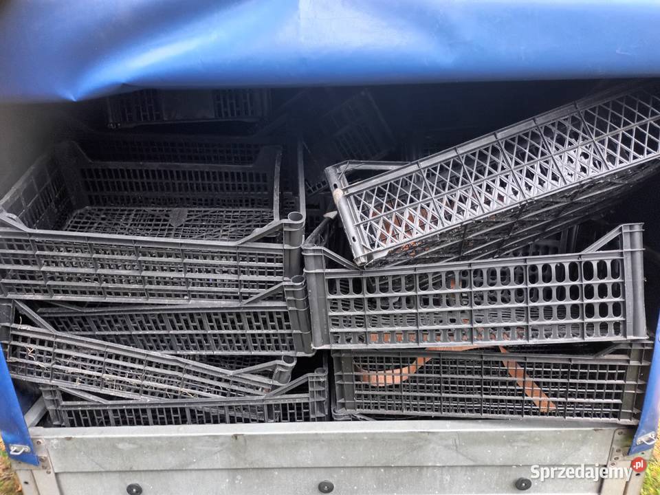 Skrzynka plastikowa kosz różne wymiary Częstochowa