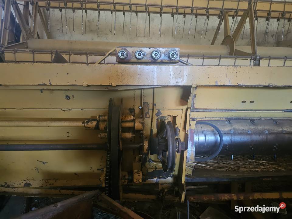 Bizon z56 super opolskie Biała