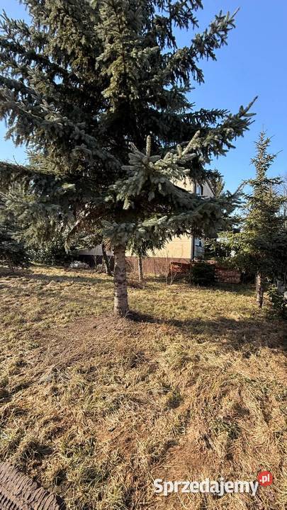 Budynek mieszkalny na sprzedaż Słupca 5327zł/m2