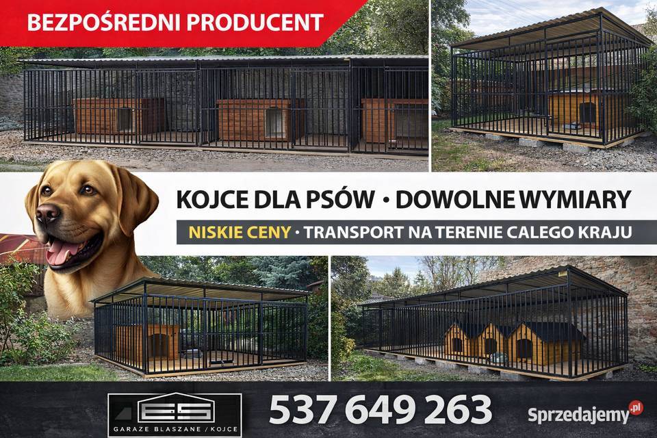 Kojec Psa Klatka Psa Zagroda Zadaszenie ESSTAL Przasnysz sprzedam
