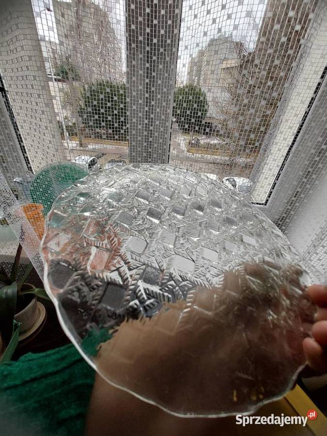 Patera zabkowice i sledziowka hortensja śląskie Częstochowa