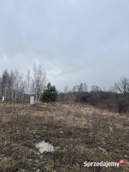 Działka budowlana 1554 m Tryszczyn k Bydgoszczy