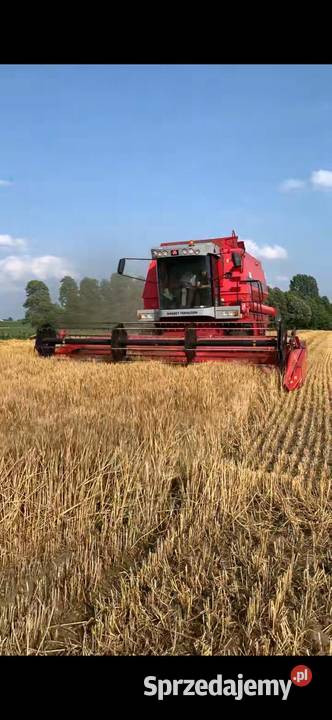 Massey Ferguson 38 (40)