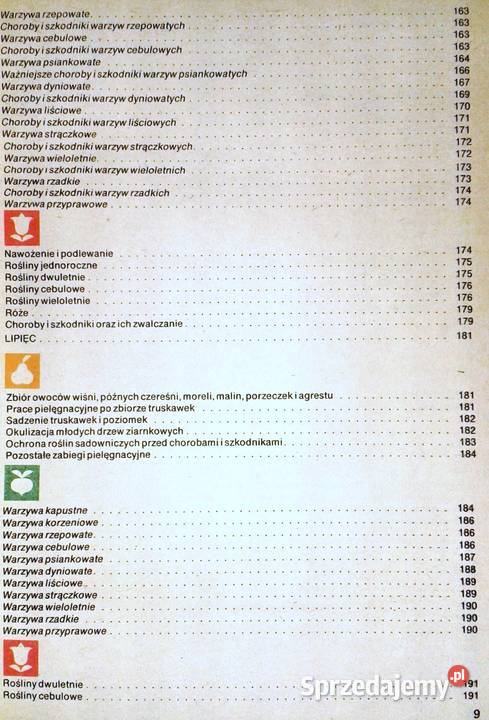 na działce D Haas Z Kawecki J Marcinkowski