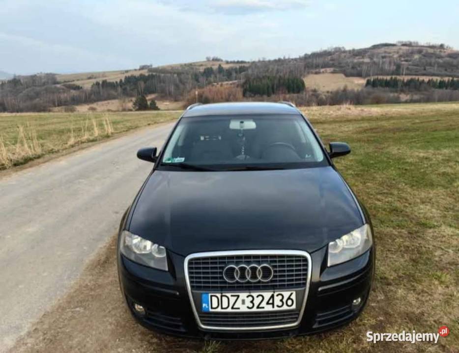 Audi A3 8P 19 TDI 105 śląskie Żywiec