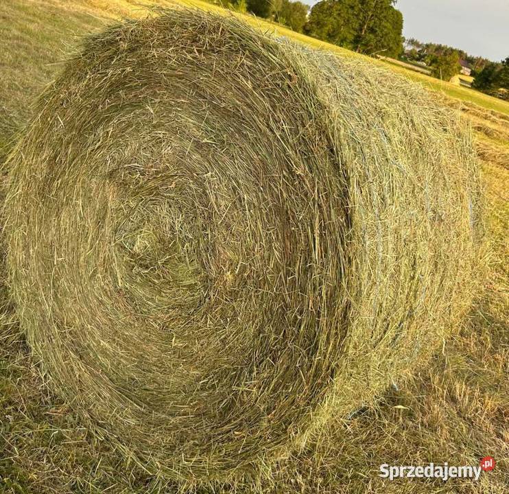 Siano 2025 Małaszewicze Małe