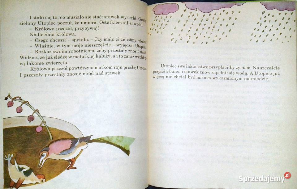 Opowieści z Bajkolandii Zbigniew Żakiewicz Chełm