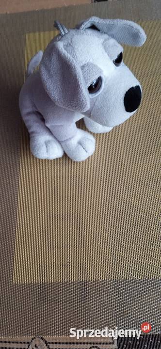 Pieski maskotki TM Toys Łódź