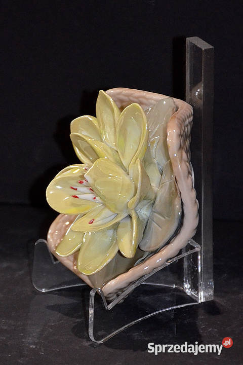 Porcelana Nofi lilia woda kwiat nenufaru Środa Wielkopolska