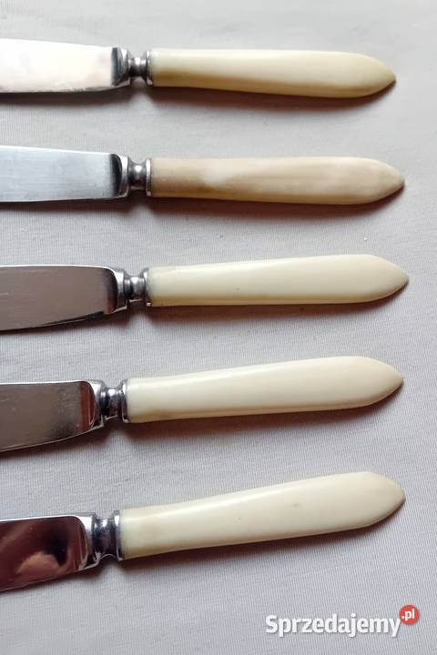 Komplet 6 noży stołowych z ebonitowymi obsadkami Koźminek