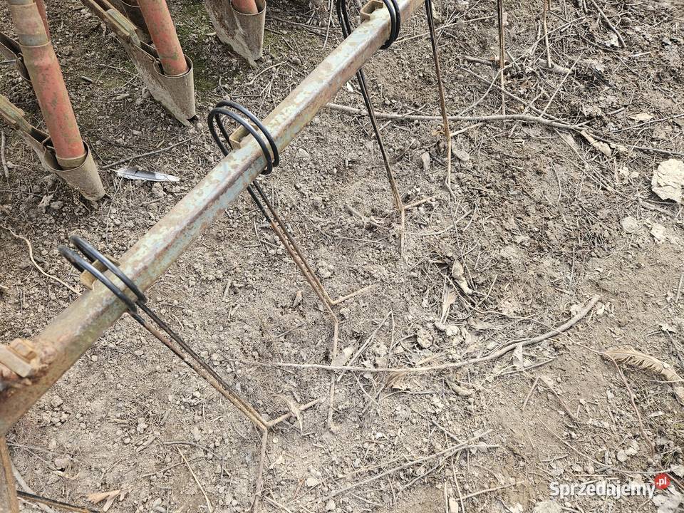 Siewnik Poznaniak 3m Amazone Nordsten Hassia Grójec
