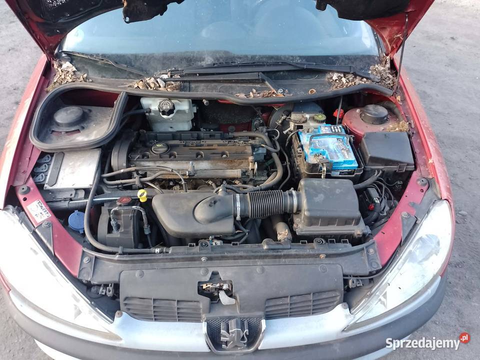 Fajny Peugeot 206 CC2001 r20 BenzDługie Oce i 206 CC Zduńska Wola