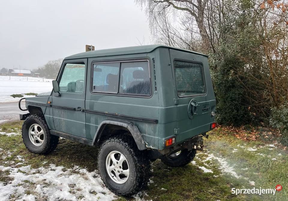 Mercedes GKlase 300D W460