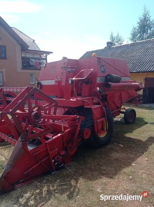 Kombajn Zbo owy MF 187 Chybice Sprzedajemy pl