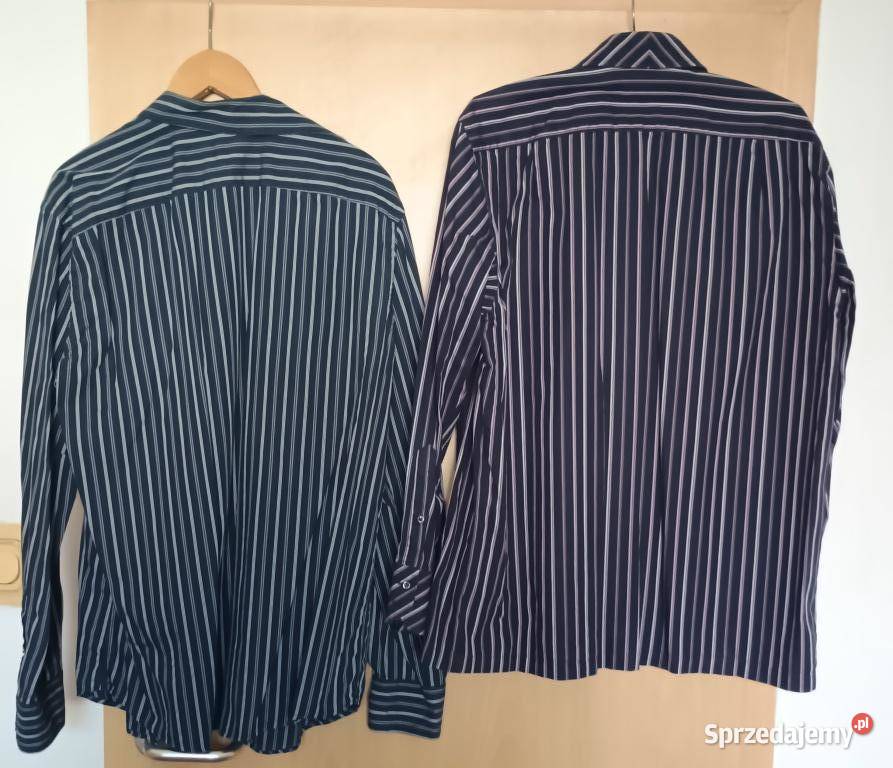 zestaw 3 koszul XL lacoste pierrecardin hilfiger wielkopolskie Poznań