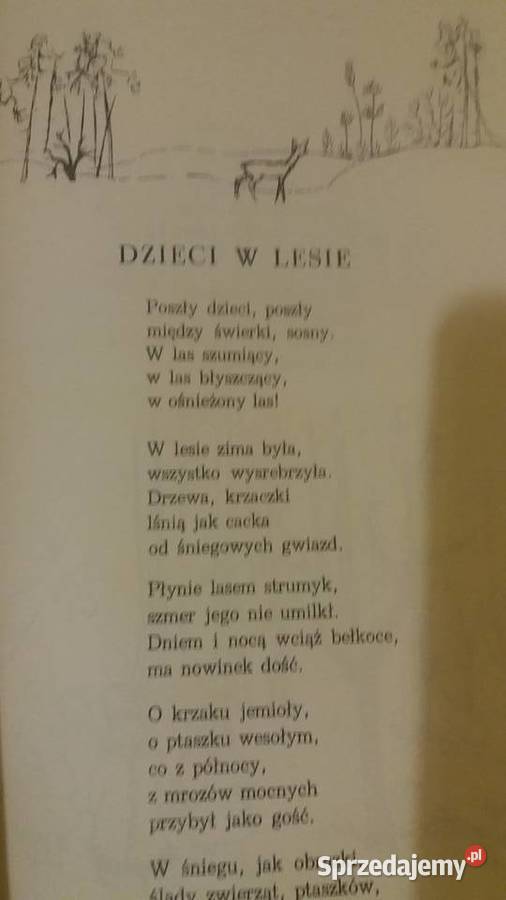 O czym cyka świerszcz z kącika bajki dziecięce mazowieckie