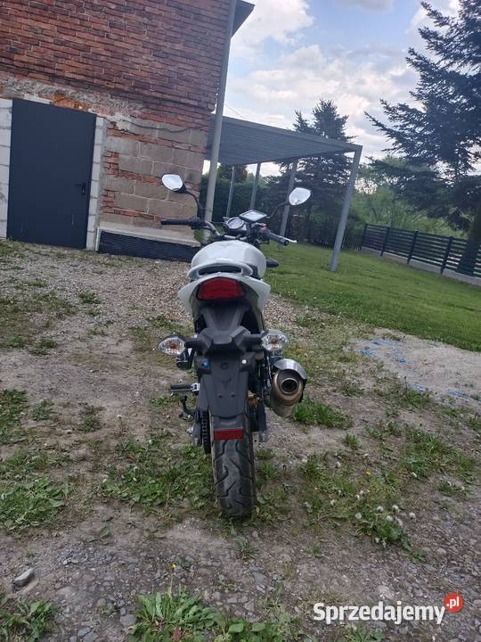 Sym wolf SB 125 ni Rzepiennik Suchy
