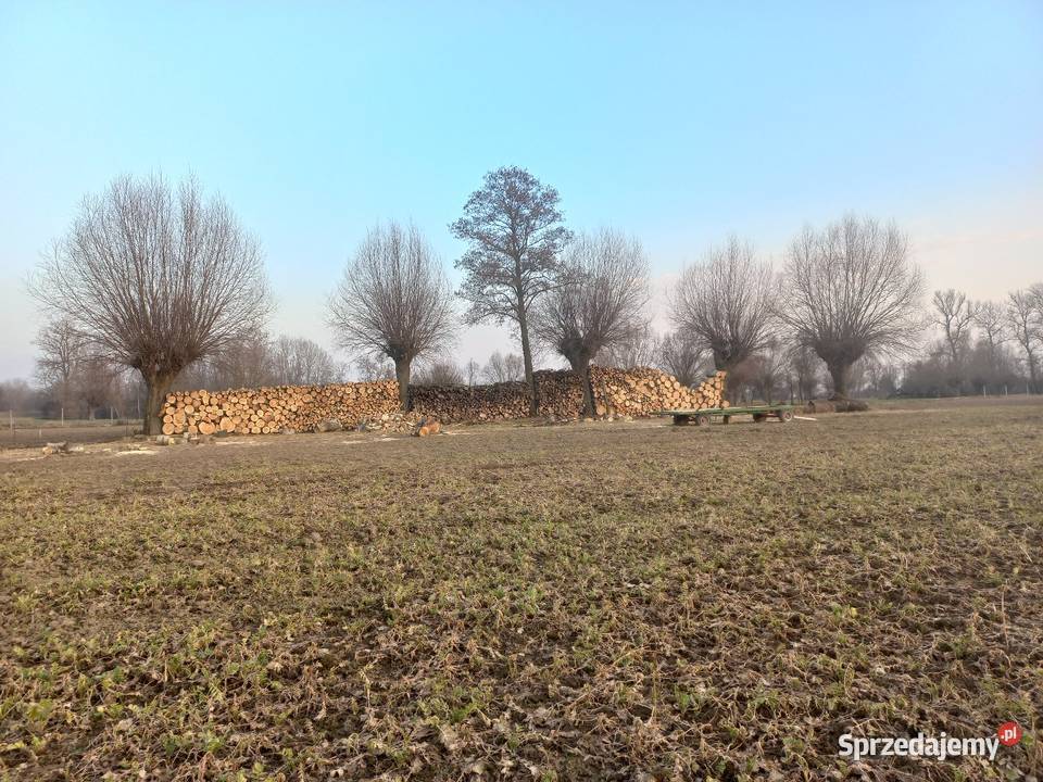 Drewno opałowe kominkowe liściaste Świniary