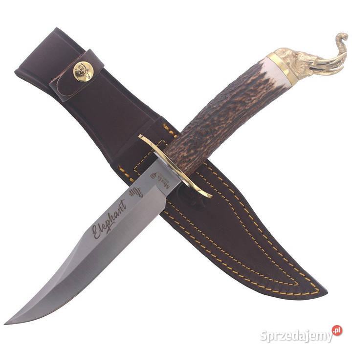 Nóż Muela Big Five Deer Stag Satin 14116 Gift Warszawa
