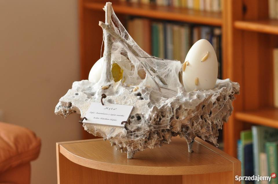 MGŁA Instalacja artystyczna Współczesna Sztuka współczesna wielkopolskie Radzewice