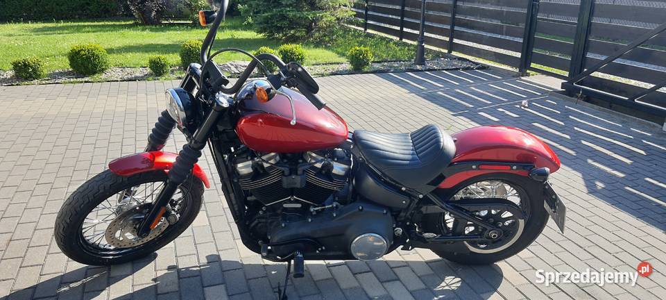 HarleyDavidson Softail Street Bob 107 2019 r Harley-Davidson Rajszew sprzedam