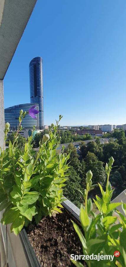Mieszkanie 3 pokoje 47m Wrocław Krzyki winda dolnośląskie