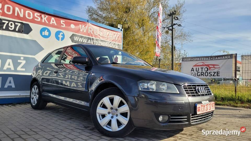 Audi A3 8P 20 TDI Klimatyzacja Alufelgi Grzane dolnośląskie
