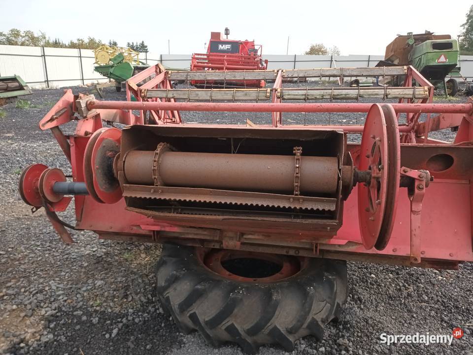 Heder do kombajnu Massey Ferguson 8687186187 świętokrzyskie