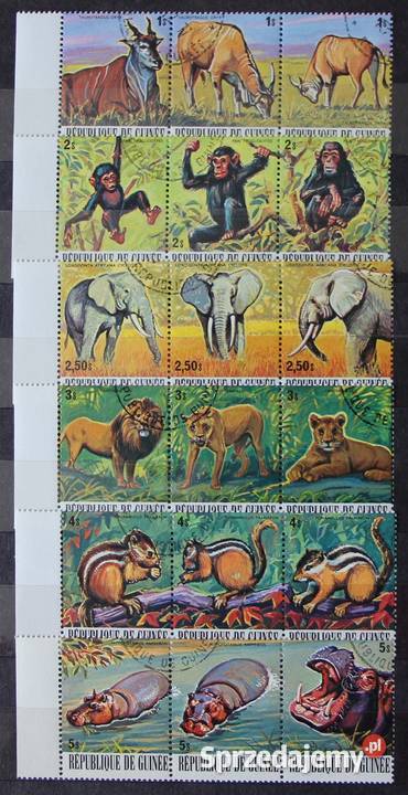 Gwinea fauna Afryki Oborniki