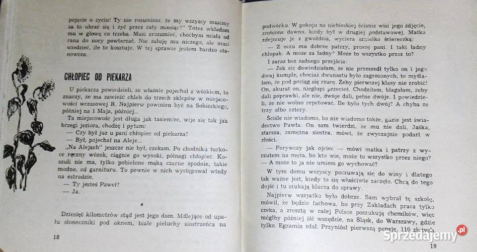 Piegi w świetle księżyca M Dańkowska J