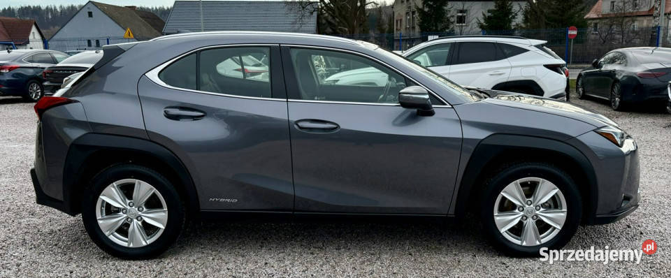 Lexus UX 250hHybrydaIdealnyGwarancja wspomaganie kierownicy dolnośląskie Kamienna Góra