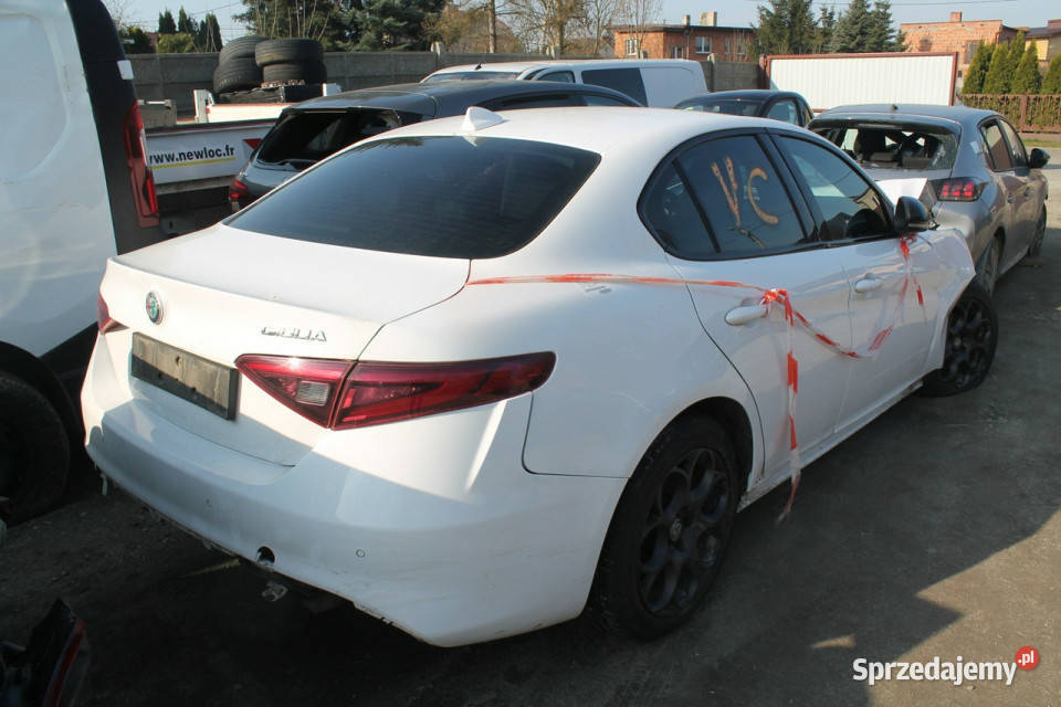 Alfa Romeo Giulia wielkopolskie