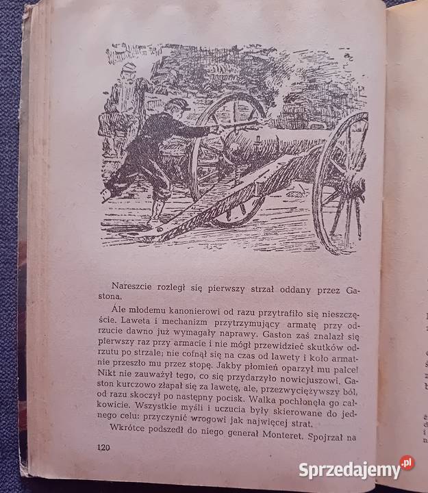 J Jachnina M Alejnikow Charlot Bantard Nasza wielkopolskie Koźminek sprzedam