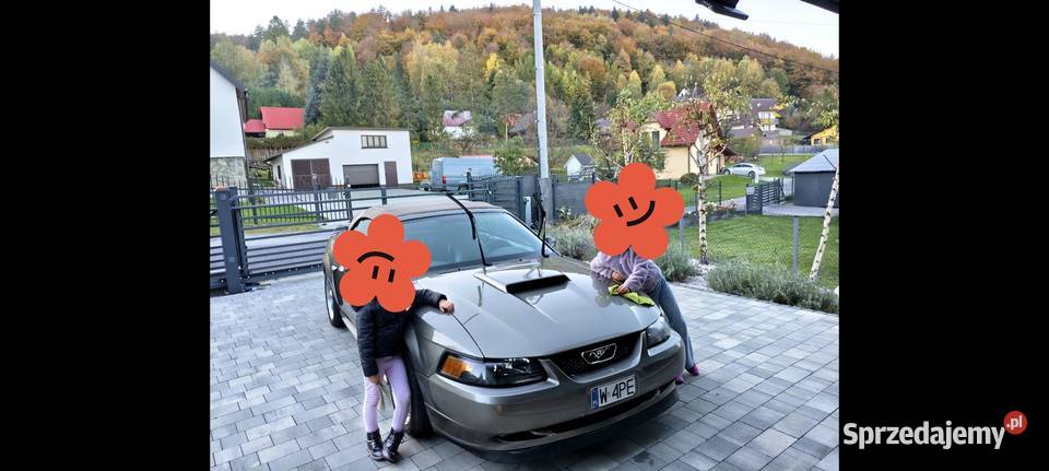 Ford Mustang 2001 GT V8 Cabrio nieuszkodzony Samochody osobowe śląskie