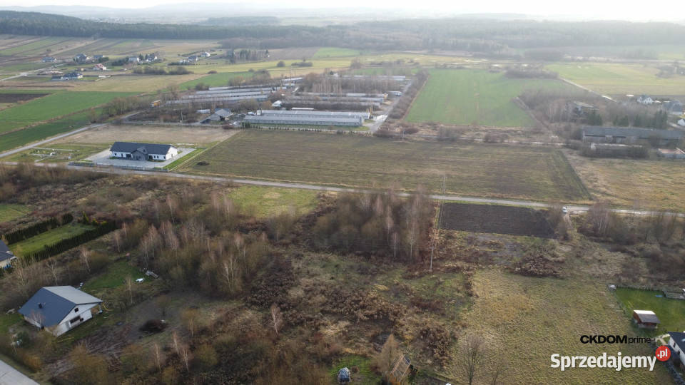Działka budowalana 1448 m2 Oblęgorek gmStrawczyn