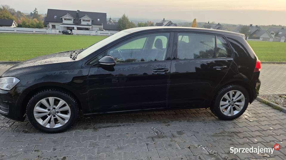 Volkswagen Golf 7 2015r BlueMotion Salon 1 ABS małopolskie Kraków