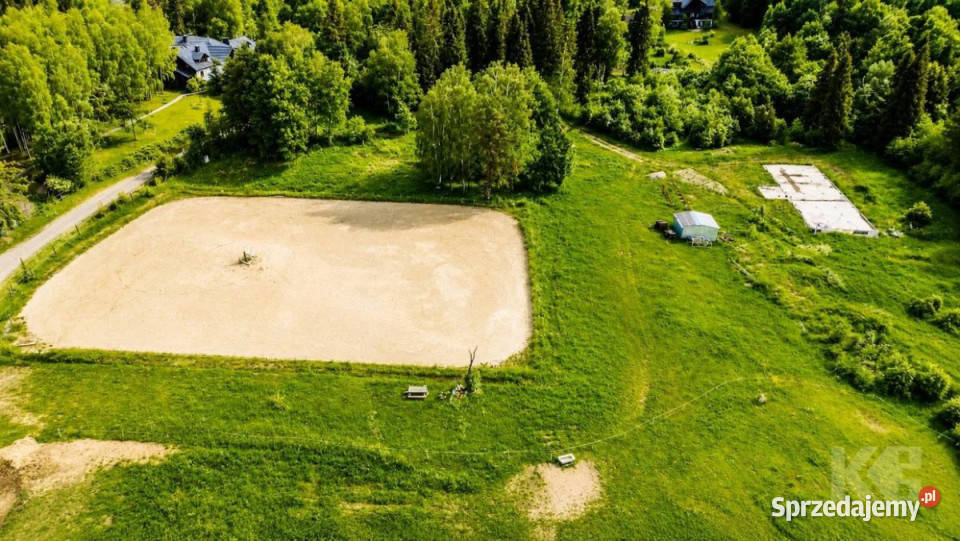 Grunt 43500m2 Strzebowiska 43500m2 Grunty i działki