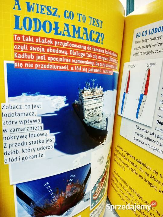Nela na kole podbiegunowym